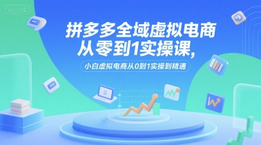 拼多多全域虚拟电商从零到1实操课，小白虚拟电商从0到1实操到精通-柒浠资源网