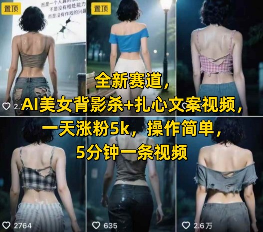 全新赛道，AI美女背影杀+扎心文案视频，一天涨粉5k，操作简单，5分钟一条视频-柒浠资源网