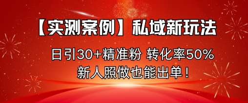 【实测案例】私域新玩法，日引30+精准粉，转化率50%，新人照做也能出单！-柒浠资源网