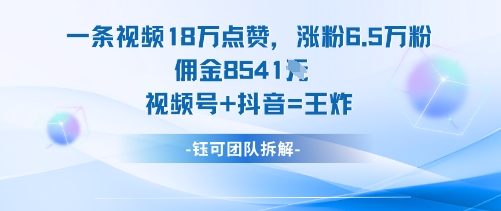 一条视频18W点赞，涨粉6.5W粉佣金8541米，视频号+抖音=王炸-柒浠资源网