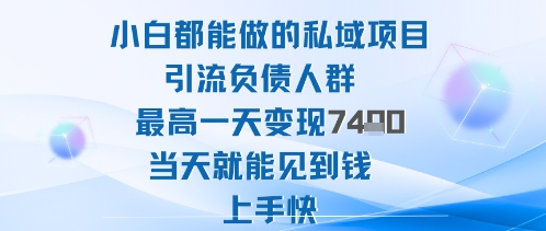 2025年小白都能做的私域项目引流负债人群最高一天变现1k+高变现难度低当天就能见到钱上手快-柒浠资源网