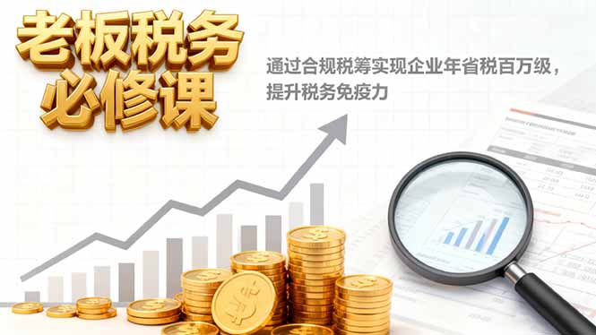 老板税务必修课，通过合规税筹实现企业年省税百万级，提升税务免疫力-柒浠资源网