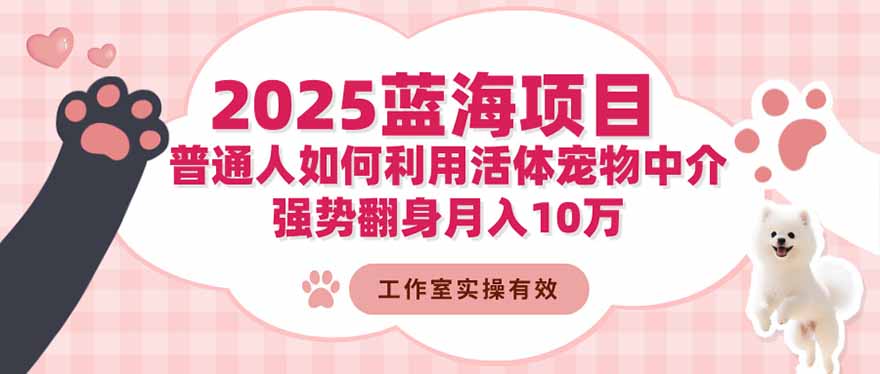 2025蓝海项目：普通人如何利用活体宠物中介，强势翻身月入10万-柒浠资源网