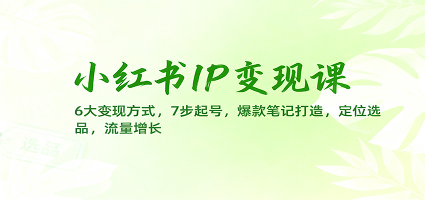 小红书IP变现课:6大变现方式,7步起号,爆款笔记打造,定位选品,流量增长-柒浠资源网