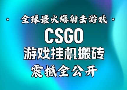 【年底大揭秘】基于全球最火爆的射击CSGO游戏挂G搬砖，日入5张+，震撼公开-柒浠资源网