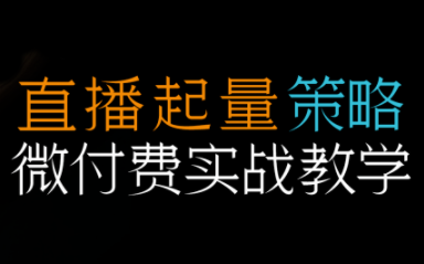 半野老师·直播带货起量与微付费必学课视频号-柒浠资源网