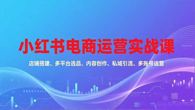 小红书电商运营实战课，店铺搭建、多平台选品、内容创作、私域引流、多账号运营等玩法-柒浠资源网