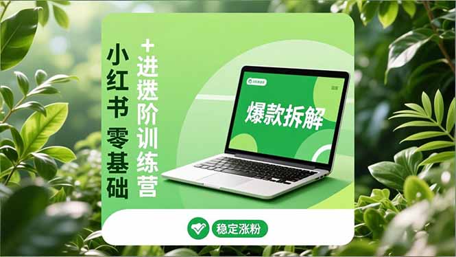 小红书零基础+高阶训练营:安全养号、爆款拆解、长效运营,实现稳定涨粉与变现-柒浠资源网