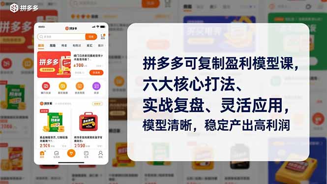 拼多多可复制盈利模型课，六大核心打法、实战复盘、灵活应用，模型清晰，稳定产出高利润-柒浠资源网