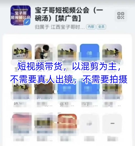 宝子哥头部团队短视频带货，以混剪为主，不需要真人出镜，不需要拍摄【更新12月】-柒浠资源网