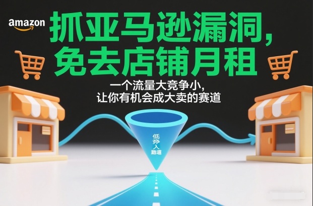 抓亚马逊漏洞，免去店铺月租，一个流量大竞争小，让你有机会成大卖的赛道-柒浠资源网