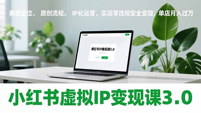 小红书虚拟IP变现课3.0，赛道定位、原创流程、IP化运营，实现零违规安全变现，单店月入过万-柒浠资源网