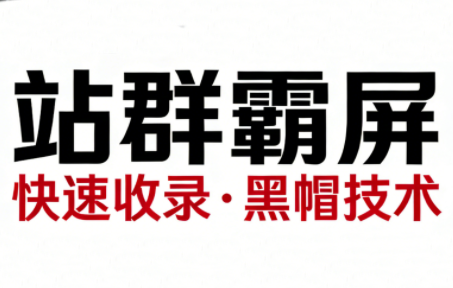 SEO野路子实战全集：快速收录、站群霸屏、黑帽技术-柒浠资源网