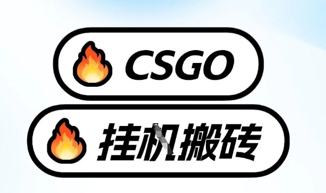 真全网独家CSGO挂G，最新玩法,单日捡漏1K+，不用电脑，不用打游戏【揭秘】-柒浠资源网