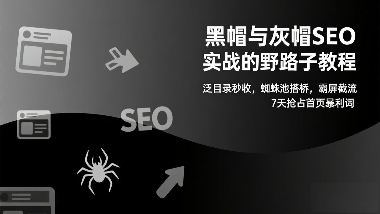 黑帽与灰帽SEO实战的野路子教程：泛目录秒收，蜘蛛池搭桥，霸屏截流，7天抢占首页暴利词-柒浠资源网