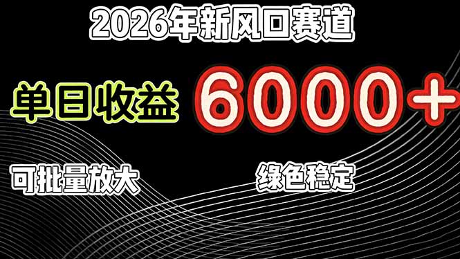 2026年新风口赛道，当日6000+以上，可批量放大，月收入20万+，长期绿色稳定的项目-柒浠资源网