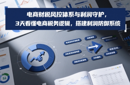 电商财税风控体系与利润守护，3天看懂电商税务逻辑，搭建利润防御系统-柒浠资源网