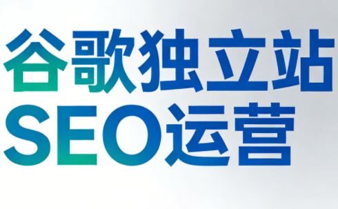 谷歌独立站SEO运营(更新2026)-柒浠资源网