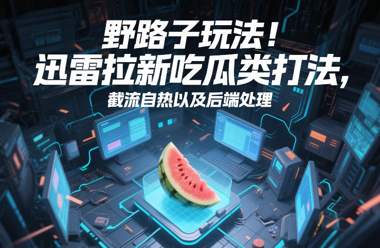 野路子玩法!迅雷拉新吃瓜类打法,截流自热以及后端处理-柒浠资源网