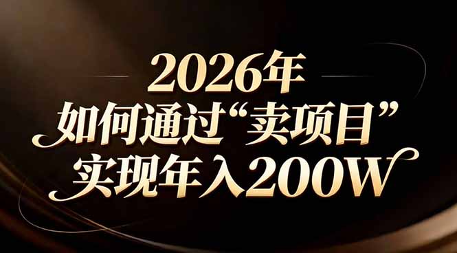 站在2026年的十字路口：一个普通人如何通过卖项目实现年入200万-柒浠资源网