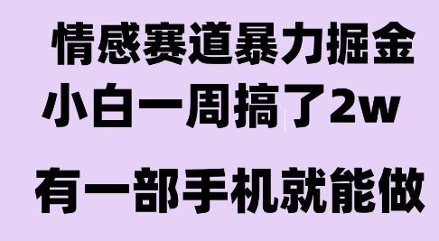 情感暴力掘金项目，新人操作一周挣了2W，长期稳定小白可做【揭秘】-柒浠资源网