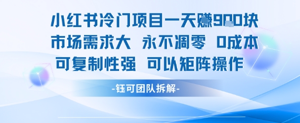 小红书冷门项目一天收益9张，市场需求大，0成本，可复制性强可以矩阵操作-柒浠资源网