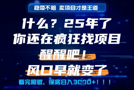 什么？25年你还在疯狂找项目做，醒醒吧，看完这些你全都懂了！【揭秘】-柒浠资源网