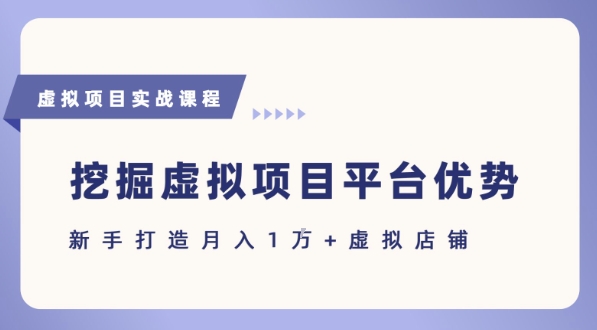 抓住虚拟项目各平台优势，新手轻松月入1W+(给出具体建议)-柒浠资源网