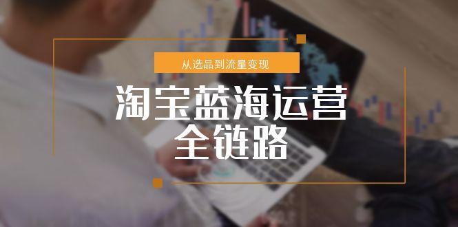 淘宝蓝海运营全链路，从选品到流量变现，小类目突围完整方案-柒浠资源网