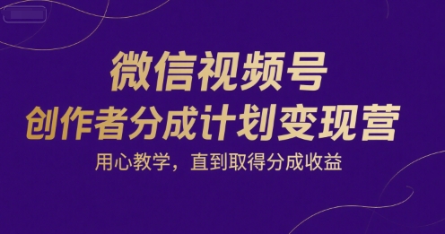 微信视频号创作者分成计划变现营，用心教学，直到取得分成收益-柒浠资源网
