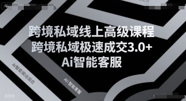 跨境私域线上高级课程，跨境私域极速成交3.0+Ai智能客服-柒浠资源网