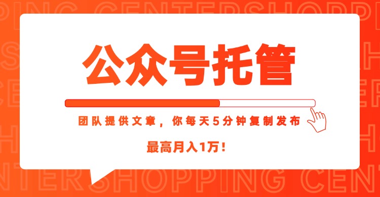 【公众号托管 】我提供文章，你每天５分钟复制发布，最高月入1W-柒浠资源网