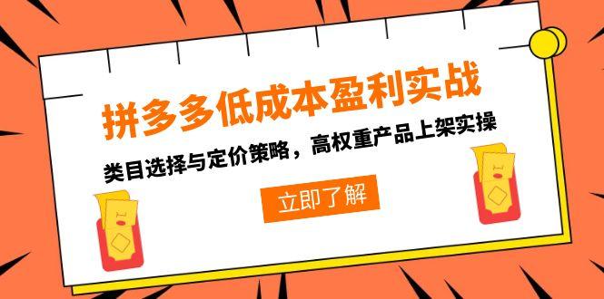 拼多多低成本盈利实战，类目选择与定价策略，高权重产品上架实操-柒浠资源网