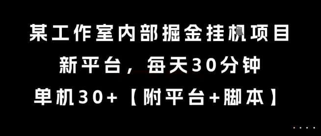 某工作室内部掘金挂G项目，新平台，每天30分钟，单机30+【揭秘】-柒浠资源网