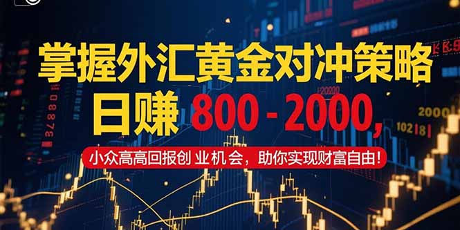 掌握外汇黄金对冲策略，日赚 800 – 2000，小众高回报创业机会，助你实…-柒浠资源网