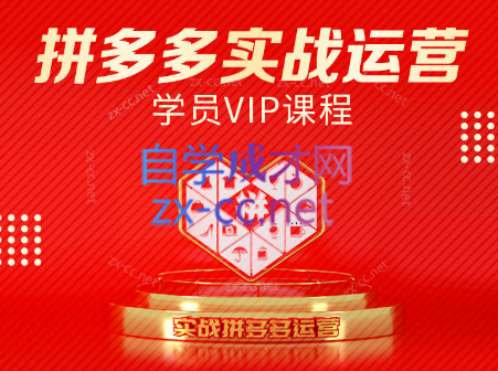 推易电商·拼多多实战运营课(更新2025月)-柒浠资源网