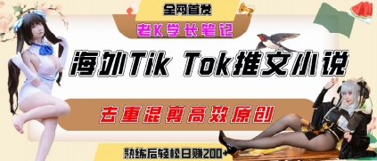 海外tiktok小说推文暴力项目，高停留率，高转化率，上手后一天搞顿饭钱不是问题-柒浠资源网