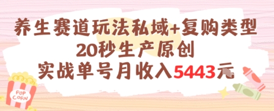 养生赛道玩法私域+复购类型,20秒生产原创实战单号月收入5k+-柒浠资源网