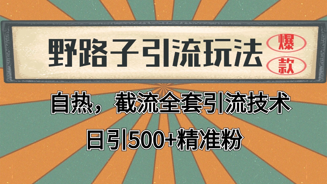 2024首发野路子引流玩法截流自热全平台打法，全自动引流【日引2000+精准客户】-柒浠资源网