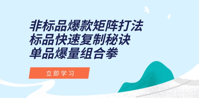 非标品爆款矩阵打法，标品快速复制秘诀，单品爆量组合拳-柒浠资源网