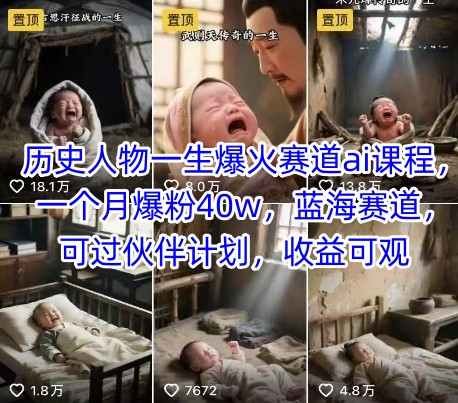 历史人物一生爆火赛道ai课程，一个月爆粉40w，蓝海赛道，可过伙伴计划，收益可观-柒浠资源网