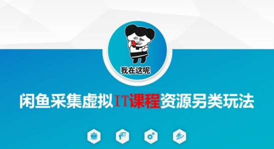 闲鱼采集虚拟IT课程资源另类玩法，干货满满-柒浠资源网
