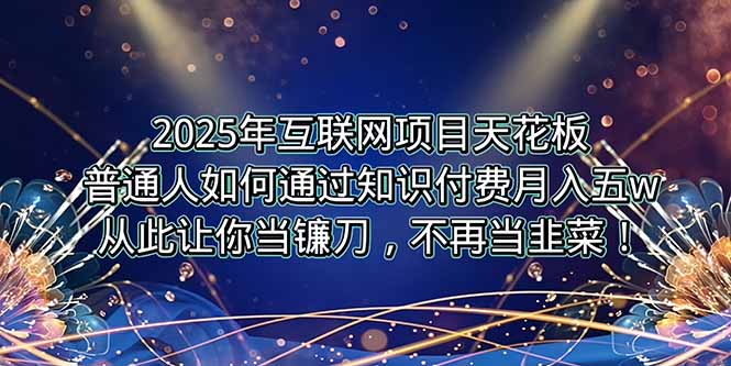 2025年互联网项目天花板，普通人如何通过卖项目实现逆风翻盘，月入5W＋！-柒浠资源网