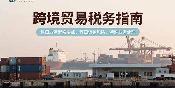 跨境贸易税务指南，进口业务退税要点，转口贸易风险，特殊业务处理-柒浠资源网