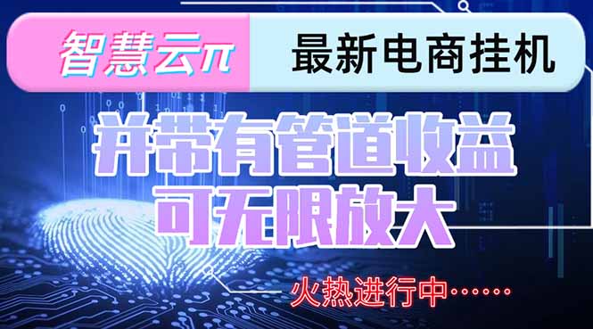智慧云π电脑挂机单机每天收益300—500+ 并带有团队管道收益 可无限放大-柒浠资源网