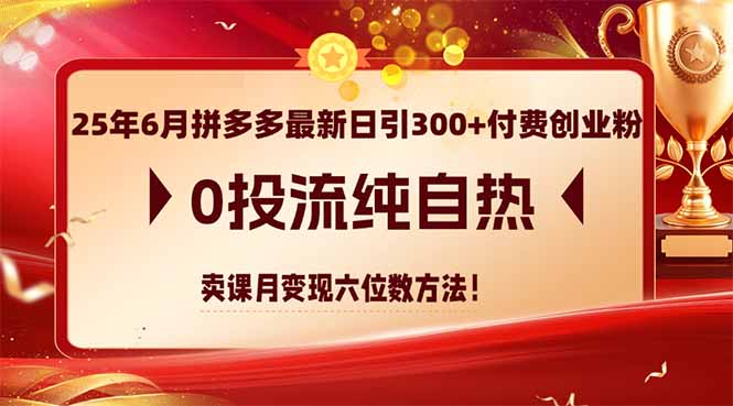 25年6月拼多多最新日引300+付费创业粉，0投流纯自热 卖课月变现六位数方法-柒浠资源网