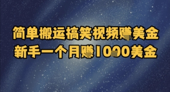 简单搬运搞笑视频挣美金，新手一个月入1k美金-柒浠资源网