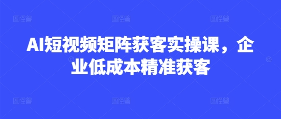 AI短视频矩阵获客实操课,企业低成本精准获客