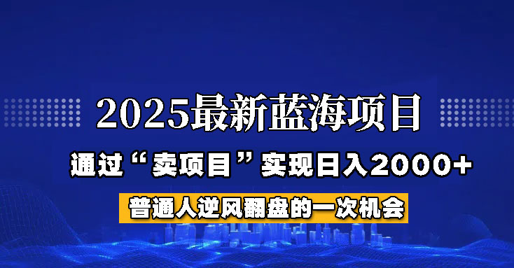2025年蓝海项目,如何通过“网创项目”日入2000+-柒浠资源网