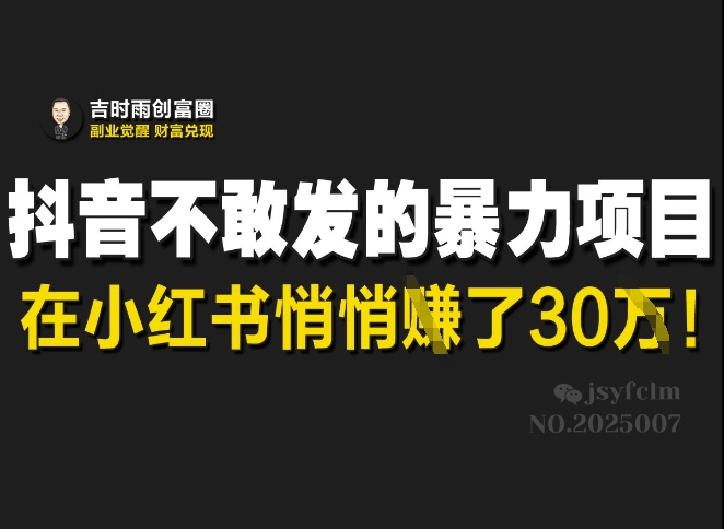 抖音不敢发的暴利项目，在小红书悄悄挣了30W-柒浠资源网